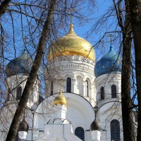 Купола Николо-Угрешского монастыря :: Дмитрий Балашов