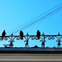 Из фотопрогулки с OPEN FOTO :: svk *