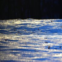 Последний снег. :: Наталья Вязигина