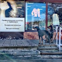 эх,Вася, а сказал за мясом пошёл.... :: Любовь 