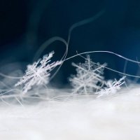 Вальс снежинок 2026 :: Ирина Баскакова