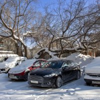 Весенние ритмы. :: Barguzin_45 Иваныч