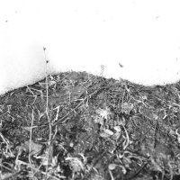 Мечты о ч/б Лейке 66. :: Михаил Елочкин