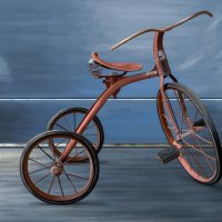 Велосипед :: Наталия Львова