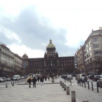 ПРАГА :: Tata Wolf