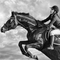 Конкур :: SanSan 