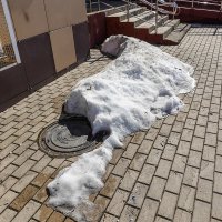 От весеннего солнышка не спрячешься :: Валерий Иванович