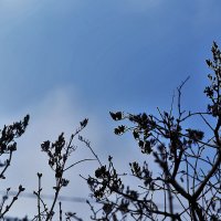 На фоне неба :: Юрий Гайворонскiий