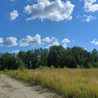 дорога :: Елена Е