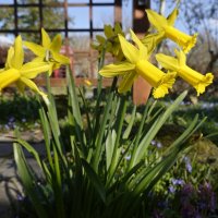 .... :: Галина 