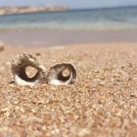 Ракушки :: Ирэн 