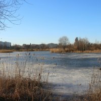 Весна в Купчино :: Наталья Герасимова