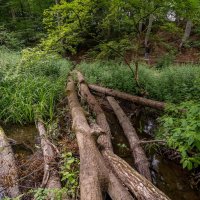 Завал... :: Николай Гирш