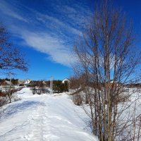 Весенние картинки. :: Алена 