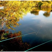 Рыбалка-моё увлечение. :: Михаил К