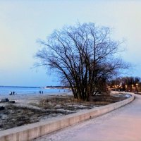 Весна, март :: Veera V