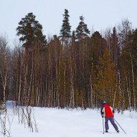 Март...На лыжах в тайгу! :: Владимир 