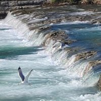 Сочи :: Serega SchütZ