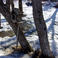 Избушка-кормушка. :: Михаил "Skipper"