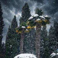 Редактировано с ИИ :: Роман Савоцкий