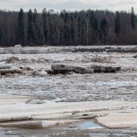 *** :: Геннадий Порохов