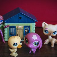 Не пойдём... :: Владимир Кроливец