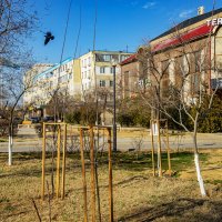 В свободном полёте :: Анатолий Чикчирный