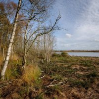 Путь к воде... :: Николай Гирш