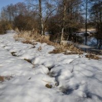 По весеннему снежку :: Валерий VRN