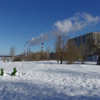 Зайцы зеленеют, солнышко блестит... :: Михаил "Skipper"