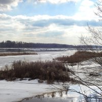 весна :: ИННА ПОРОХОВА