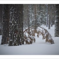 * :: Александр Иванов