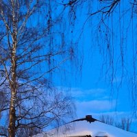 Весенние сумерки. :: Ольга Весенние сумерки. :: Ольга