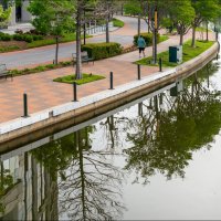 Утро :: **** vedin