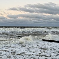 Море волнуется. :: Валерия Комова