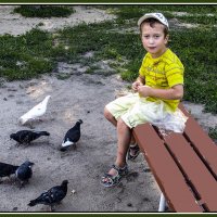 Тёма и голуби :: Владимир Кроливец