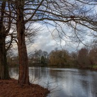 Уютный январь... :: Николай Гирш