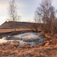 Весенний рассвет :: Марина Фомина.