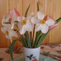 Нарциссы :: Венера Чуйкова