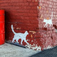 Из-за угла :: Eugene *