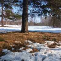 Времена года :: Gen Kor