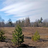 Облака идут на посадку! :: Лия ☼