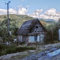 КРАСНАЯ ПОЛЯНА :: Tata Wolf