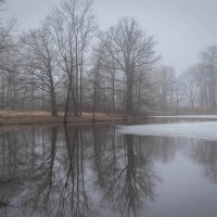 **** :: Елизавета .