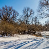 Вешние воды 6 :: Андрей Дворников