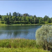 Гатчина! :: Надежда 