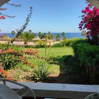 "А из нашего окна" :: Ирэн 