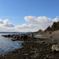 Весенняя литораль :: Ольга 