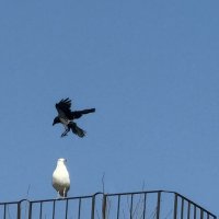 Вихри враждебные веют над нами, :: Сергей Б.