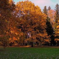 Однажды осенью .. :: Татьян@ Ивановна